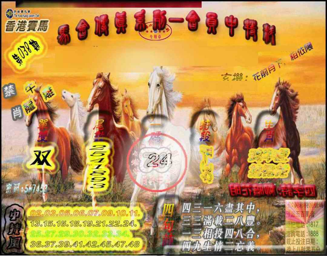 038期马会传真-会员报[图]